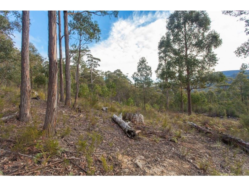Lot 0785 Wallis Road, Judbury TAS 7109
