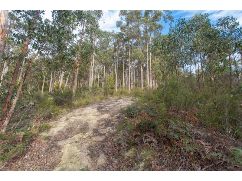 Lot 0785 Wallis Road, Judbury TAS 7109