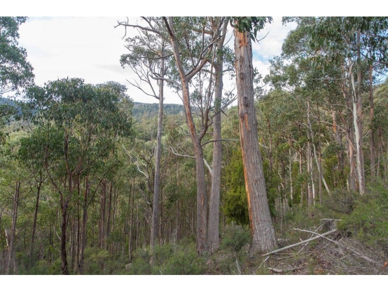 Lot 0785 Wallis Road, Judbury TAS 7109
