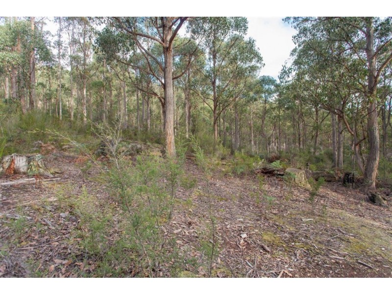 Lot 0785 Wallis Road, Judbury TAS 7109