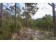 Lot 0785 Wallis Road, Judbury TAS 7109