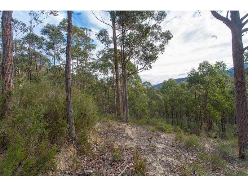 Lot 0785 Wallis Road, Judbury TAS 7109