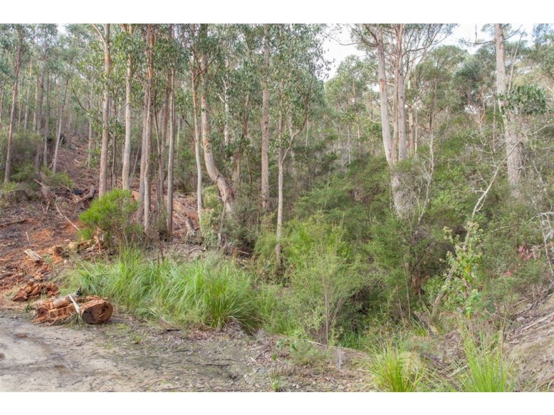 Lot 0785 Wallis Road, Judbury TAS 7109