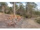 Lot 0785 Wallis Road, Judbury TAS 7109