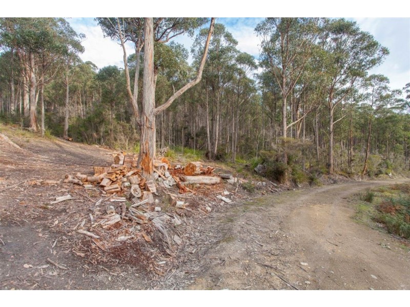 Lot 0785 Wallis Road, Judbury TAS 7109
