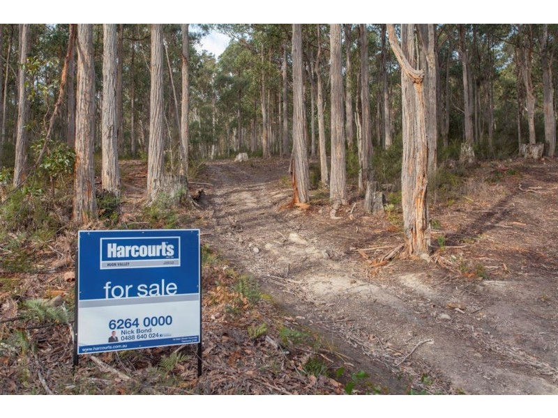 Lot 0785 Wallis Road, Judbury TAS 7109