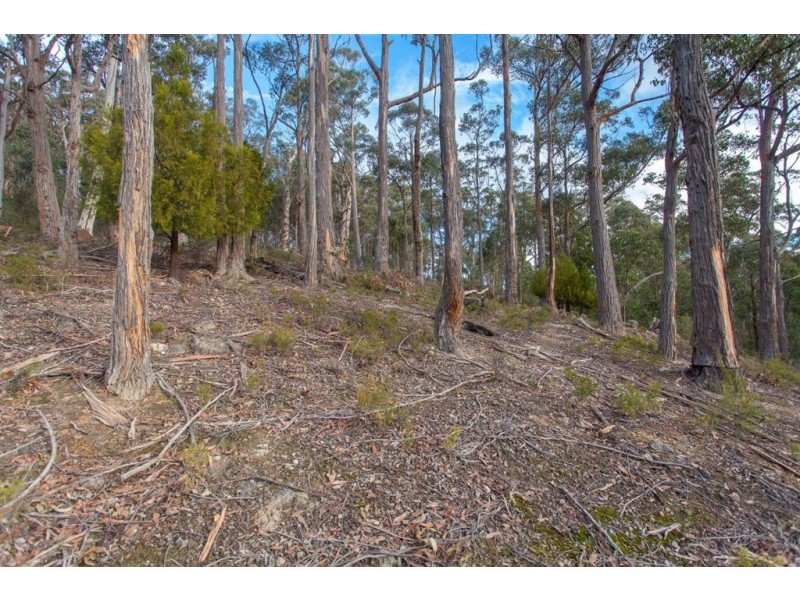 Lot 0785 Wallis Road, Judbury TAS 7109