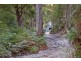 328 Bakers Creek Road, Lucaston TAS 7109