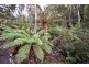 328 Bakers Creek Road, Lucaston TAS 7109