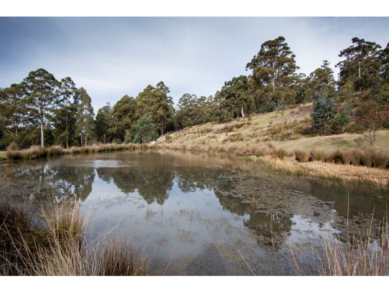 Lot 1 Bakers Creek Trail, Lucaston TAS 7109