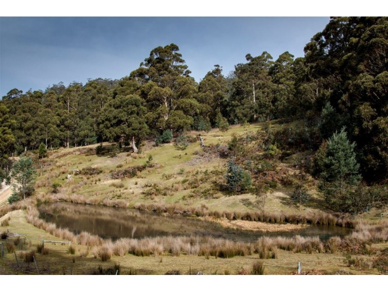 Lot 1 Bakers Creek Trail, Lucaston TAS 7109
