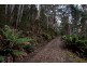 Lot 1 Bakers Creek Trail, Lucaston TAS 7109