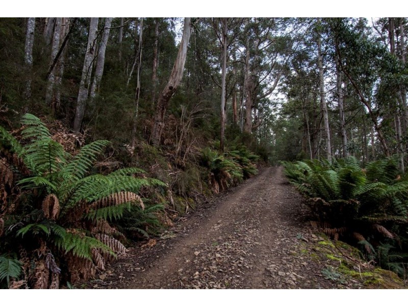 Lot 1 Bakers Creek Trail, Lucaston TAS 7109