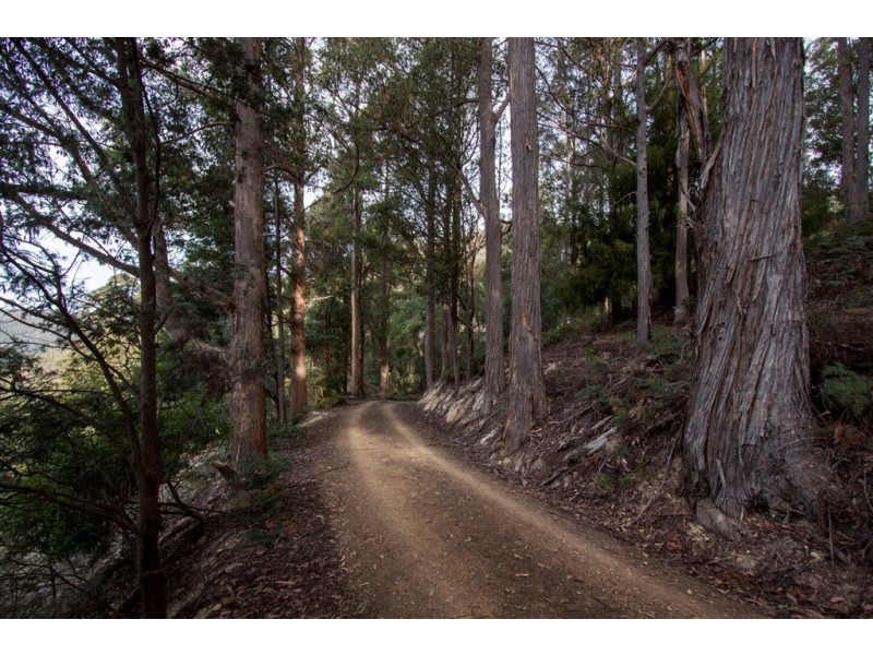Lot 1 Bakers Creek Trail, Lucaston TAS 7109