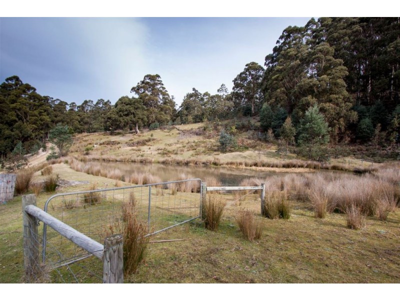 Lot 1 Bakers Creek Trail, Lucaston TAS 7109