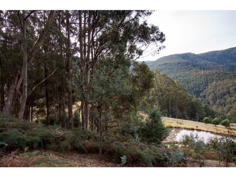 Lot 1 Bakers Creek Trail, Lucaston TAS 7109