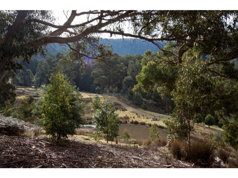 Lot 1 Bakers Creek Trail, Lucaston TAS 7109