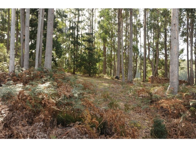 17 Hastings Caves Road, Hastings TAS 7109