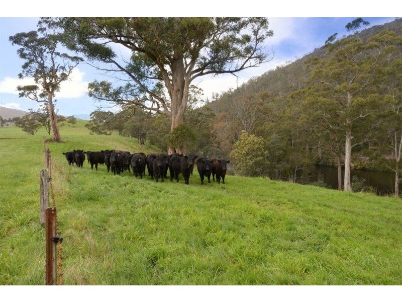 113 Lonnavale Road, Judbury TAS 7109