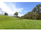 113 Lonnavale Road, Judbury TAS 7109