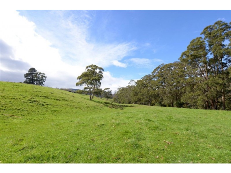 113 Lonnavale Road, Judbury TAS 7109