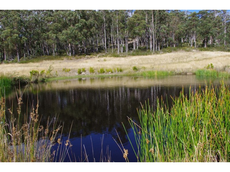14 Banksia Road, Mountain River TAS 7109