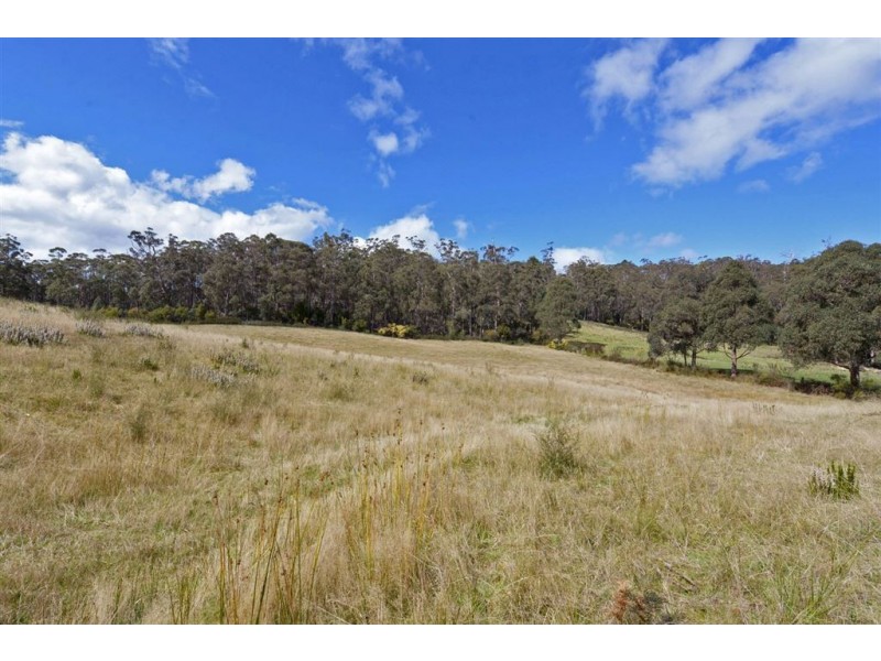 14 Banksia Road, Mountain River TAS 7109