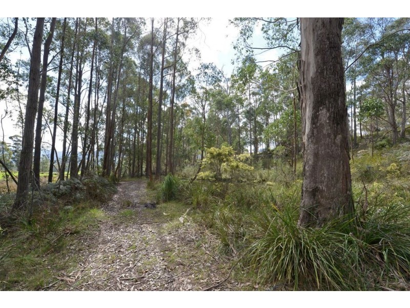 14 Banksia Road, Mountain River TAS 7109