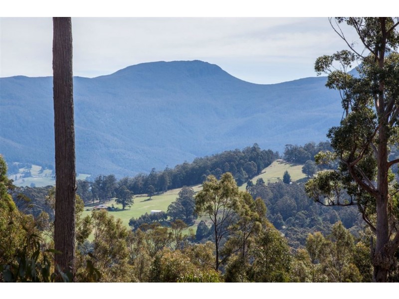 106 Vinces Saddle Road, Lower Longley TAS 7109