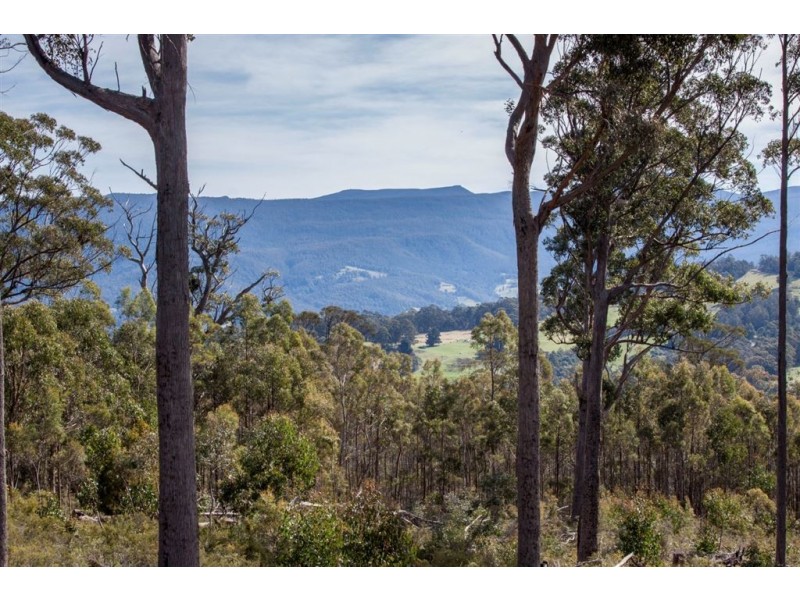 106 Vinces Saddle Road, Lower Longley TAS 7109
