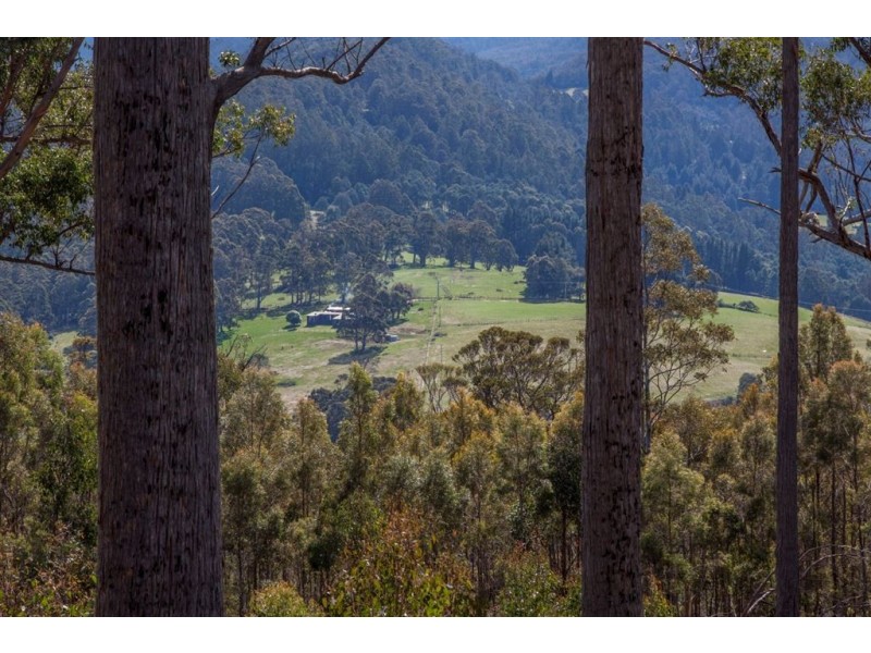 106 Vinces Saddle Road, Lower Longley TAS 7109