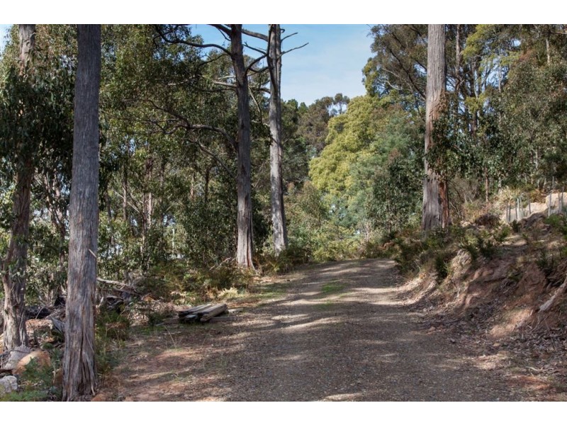 106 Vinces Saddle Road, Lower Longley TAS 7109