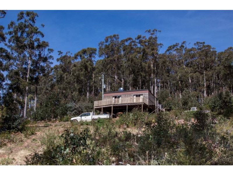 106 Vinces Saddle Road, Lower Longley TAS 7109