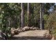 106 Vinces Saddle Road, Lower Longley TAS 7109