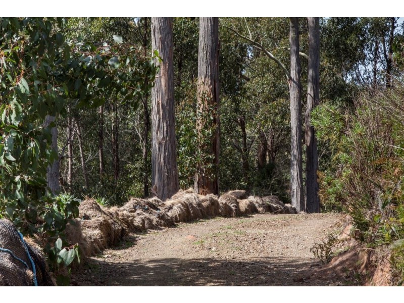 106 Vinces Saddle Road, Lower Longley TAS 7109
