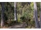 106 Vinces Saddle Road, Lower Longley TAS 7109