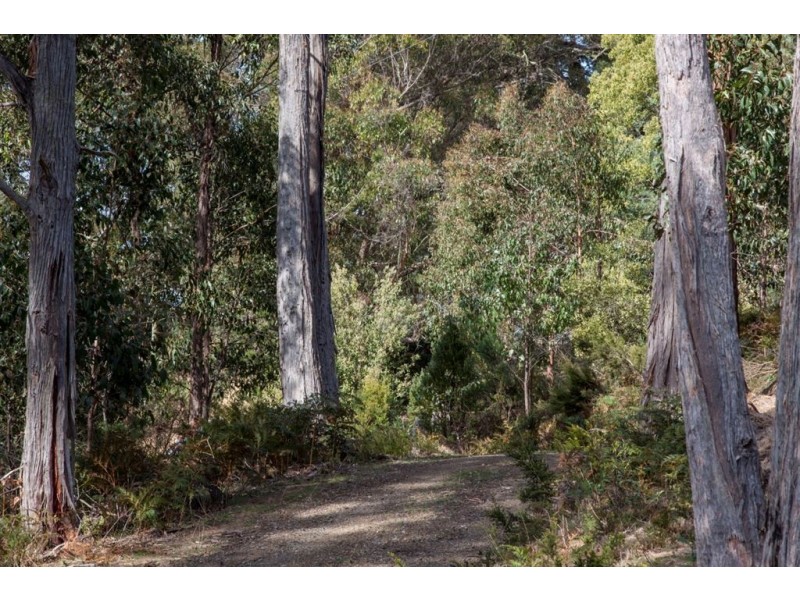 106 Vinces Saddle Road, Lower Longley TAS 7109