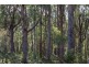 106 Vinces Saddle Road, Lower Longley TAS 7109