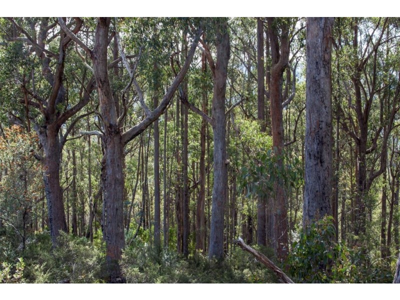 106 Vinces Saddle Road, Lower Longley TAS 7109