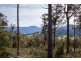 106 Vinces Saddle Road, Lower Longley TAS 7109