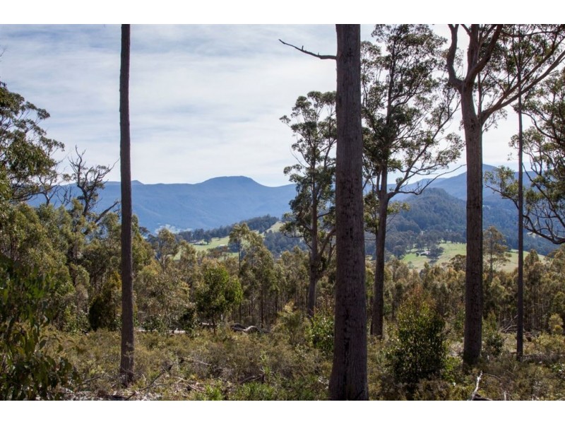 106 Vinces Saddle Road, Lower Longley TAS 7109