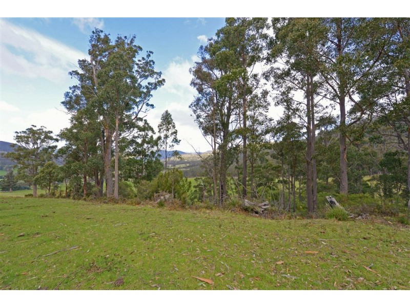 Lot 2 Lonnavale Road, Lonnavale TAS 7109