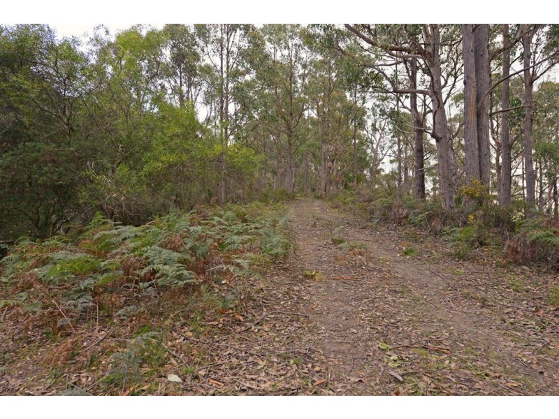 Lot 2 Lonnavale Road, Lonnavale TAS 7109