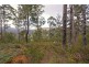 Lot 2 Lonnavale Road, Lonnavale TAS 7109