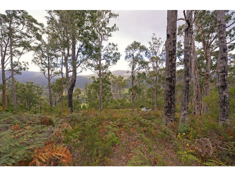 Lot 2 Lonnavale Road, Lonnavale TAS 7109