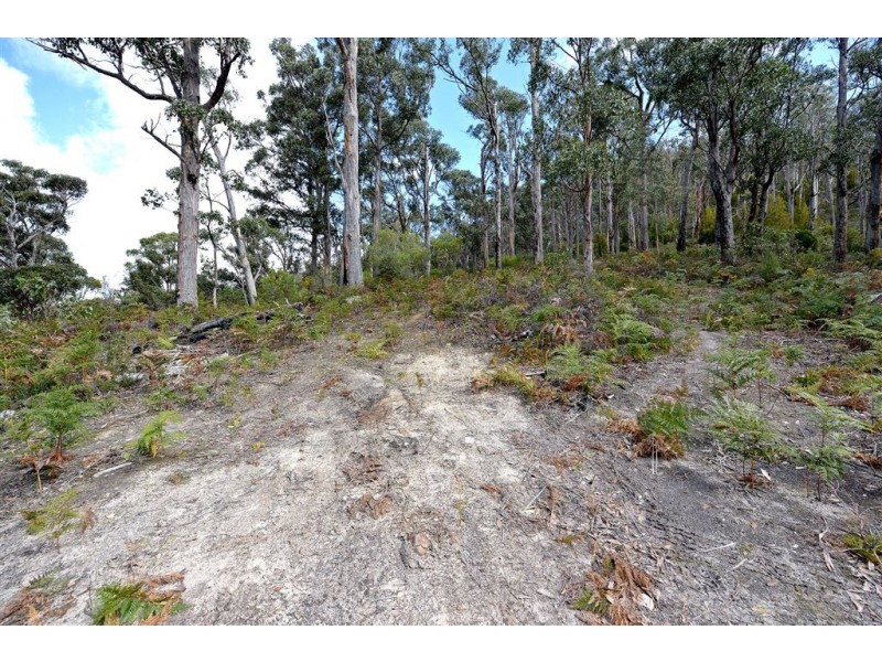 Lot 2 Lonnavale Road, Lonnavale TAS 7109