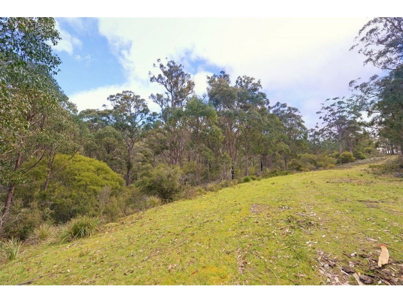 Lot 2 Lonnavale Road, Lonnavale TAS 7109