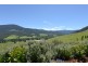60 Meadow Road, Judbury TAS 7109
