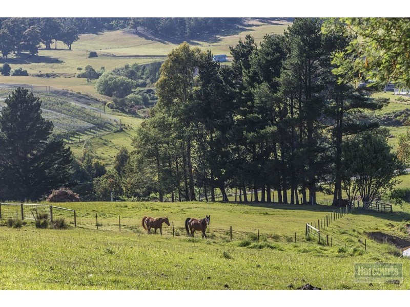 - Slab Road, Cygnet TAS 7112