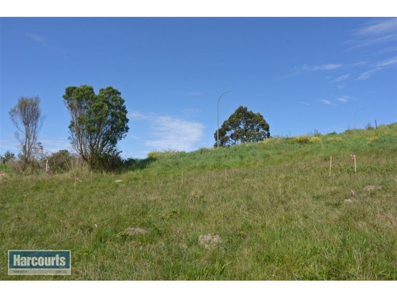 6 Chapel Lane, Dover TAS 7117